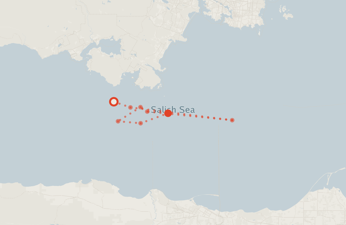 Activity map — real sighting points on an OpenStreetMap basemap