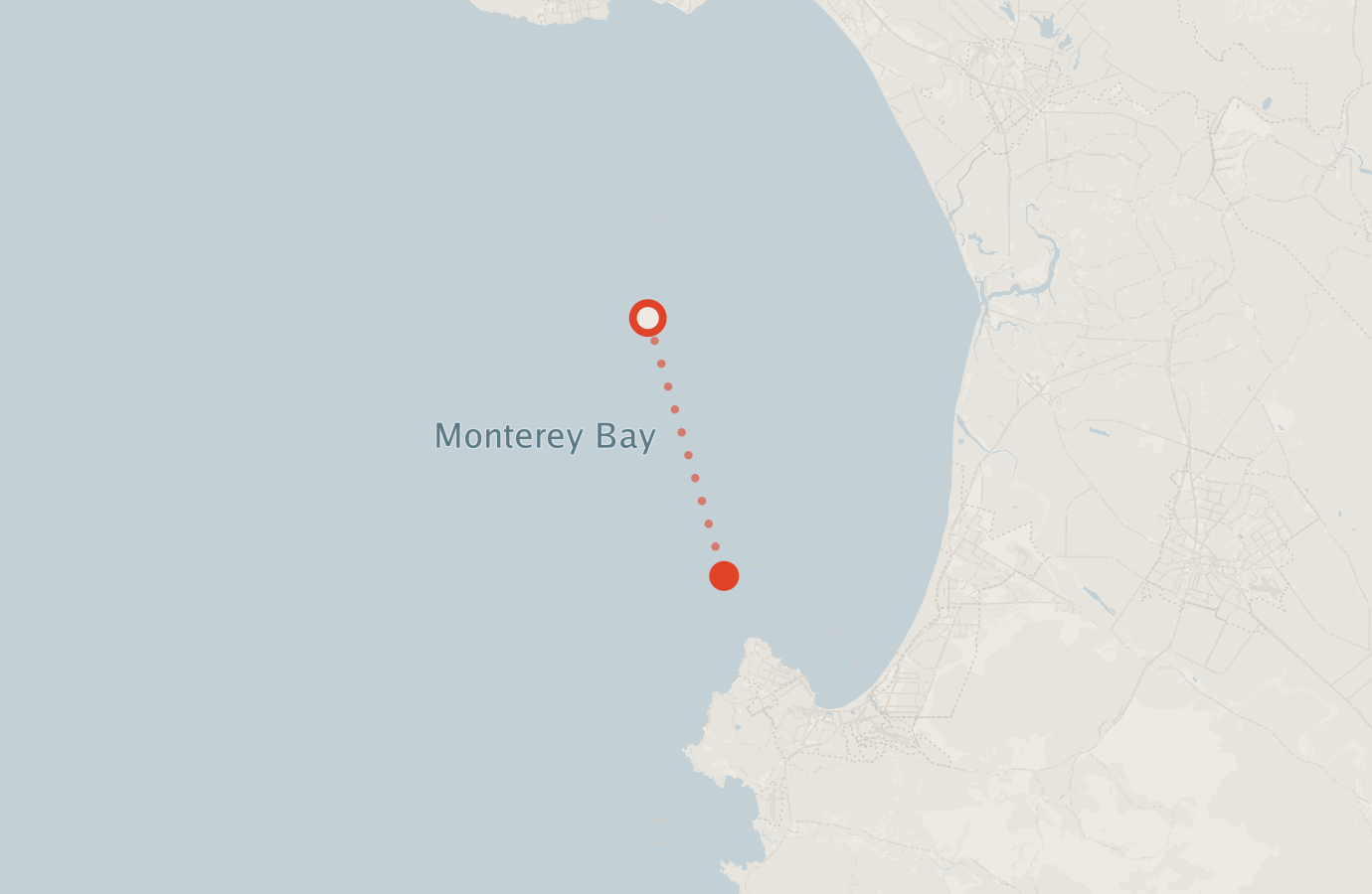 Activity map — real sighting points on an OpenStreetMap basemap