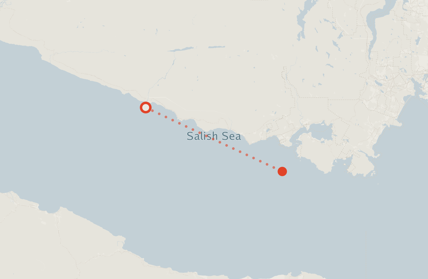 Activity map — real sighting points on an OpenStreetMap basemap