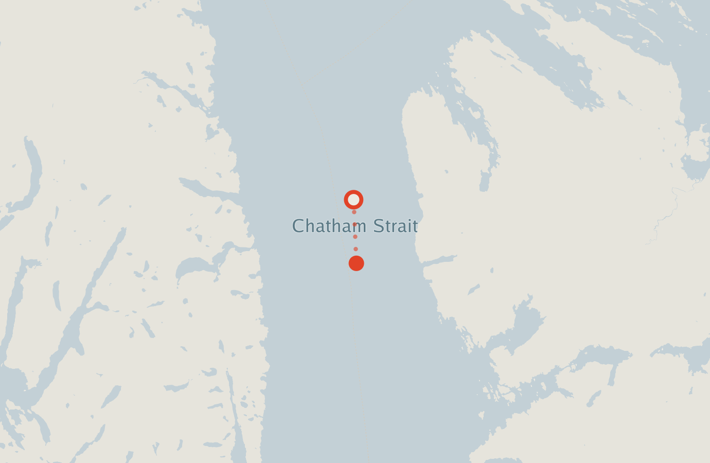 Activity map — real sighting points on an OpenStreetMap basemap