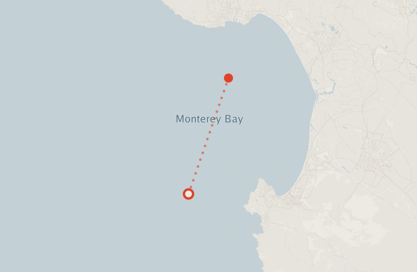 Activity map — real sighting points on an OpenStreetMap basemap