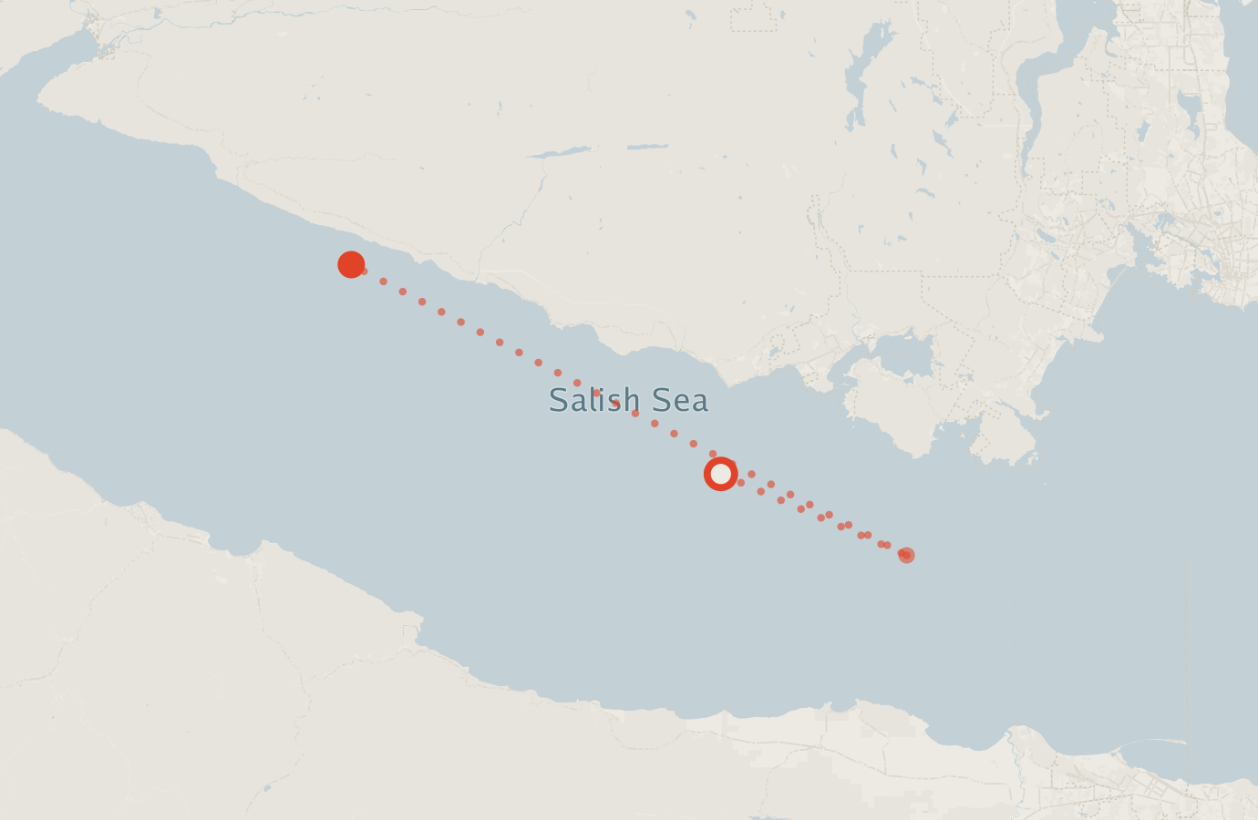 Activity map — real sighting points on an OpenStreetMap basemap