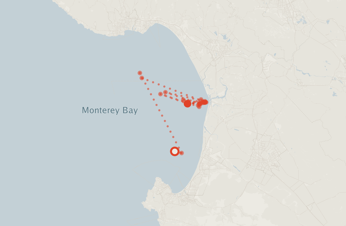 Activity map — real sighting points on an OpenStreetMap basemap