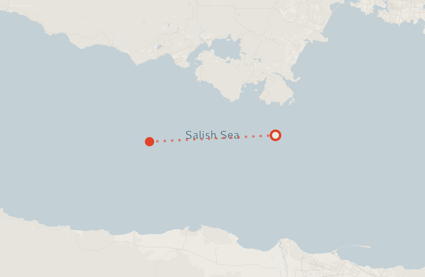 Activity map — real sighting points on an OpenStreetMap basemap