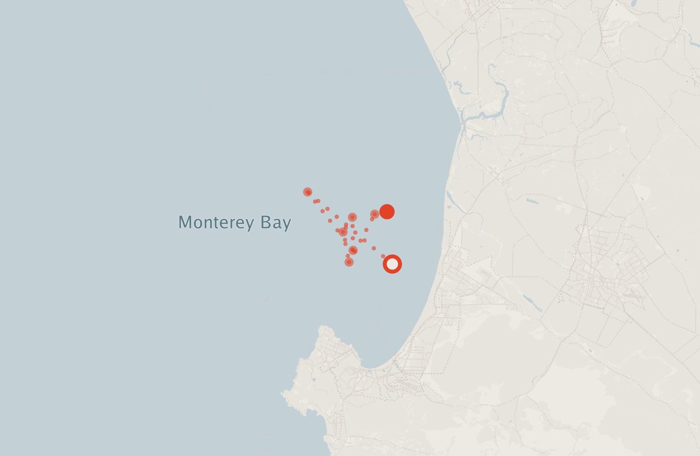 Activity map — real sighting points on an OpenStreetMap basemap