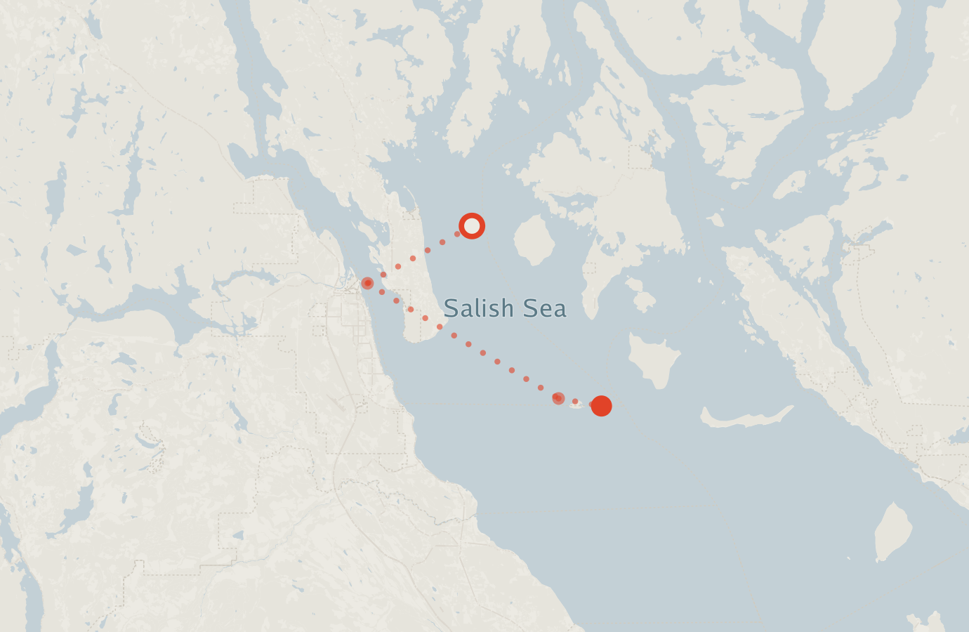 Activity map — real sighting points on an OpenStreetMap basemap