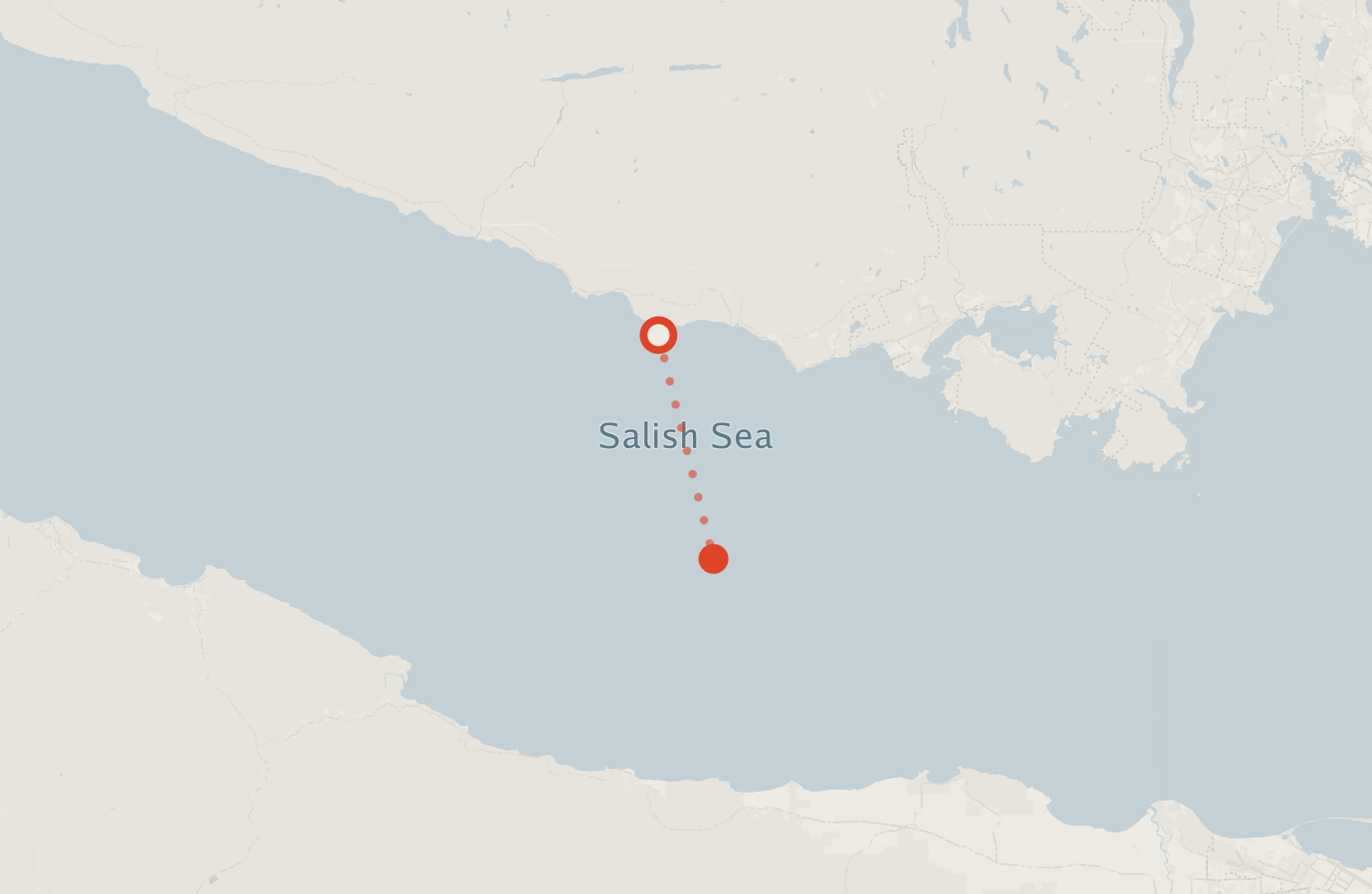 Activity map — real sighting points on an OpenStreetMap basemap
