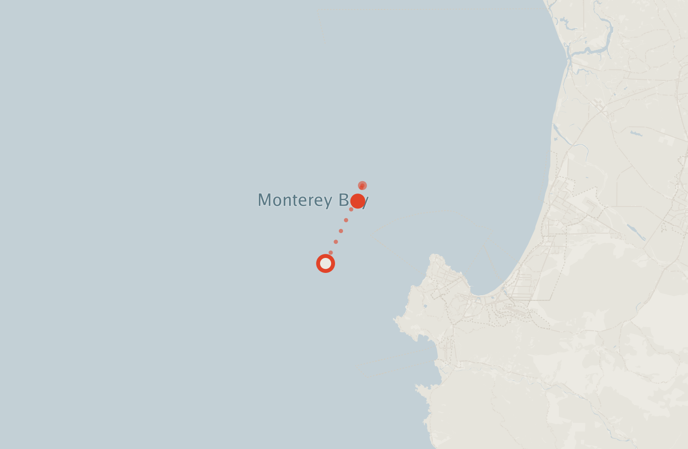 Activity map — real sighting points on an OpenStreetMap basemap