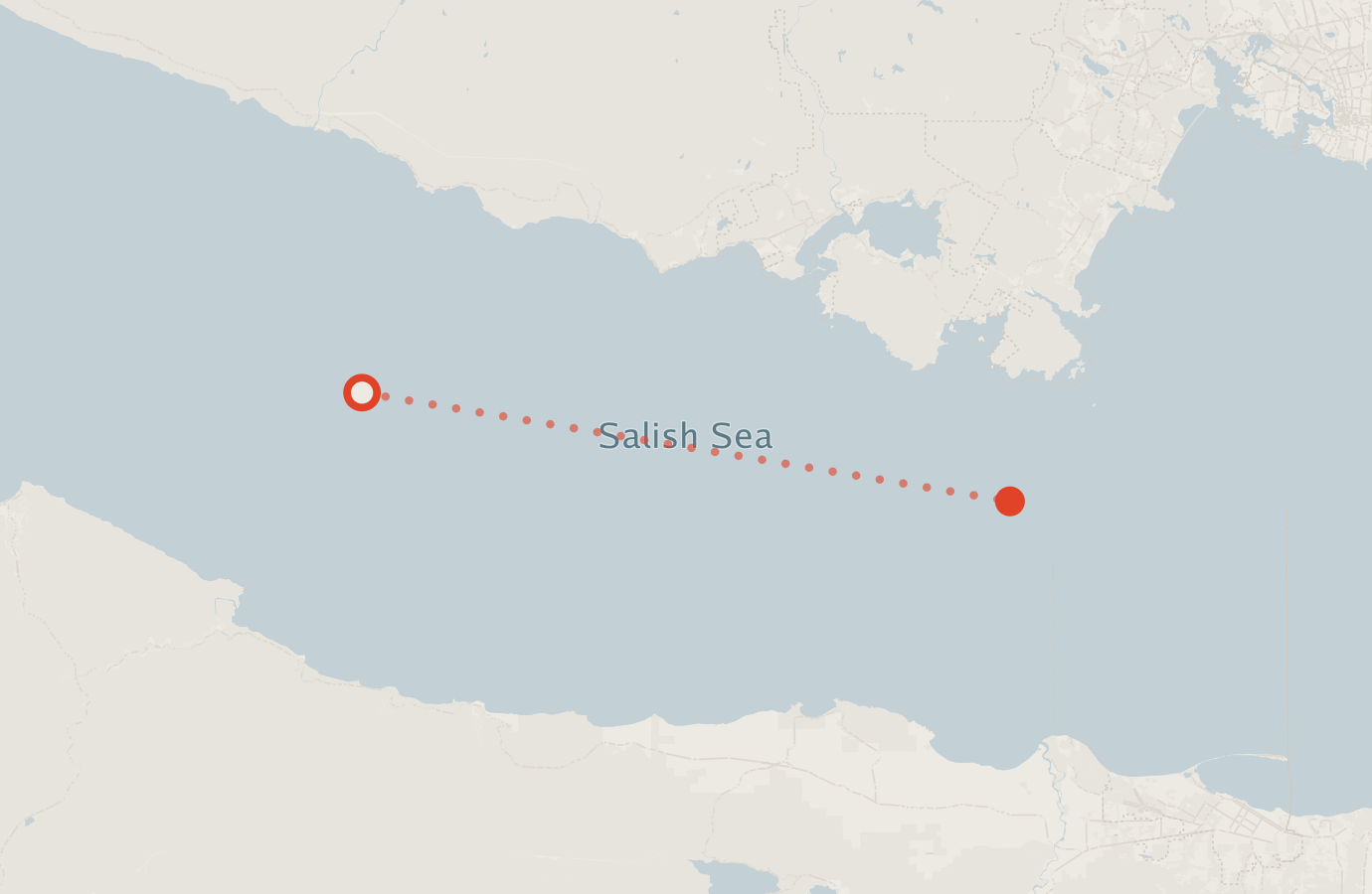 Activity map — real sighting points on an OpenStreetMap basemap