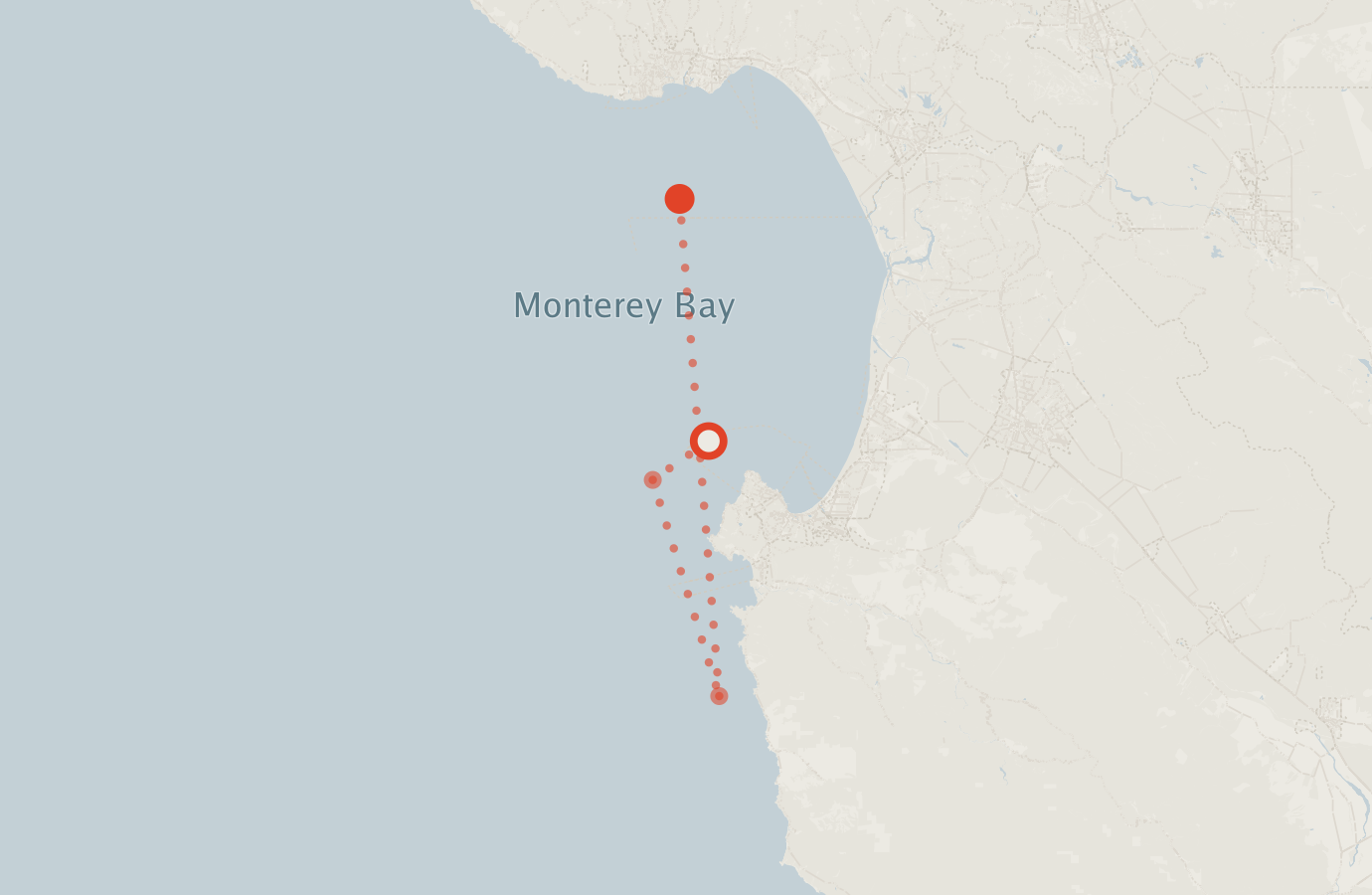 Activity map — real sighting points on an OpenStreetMap basemap