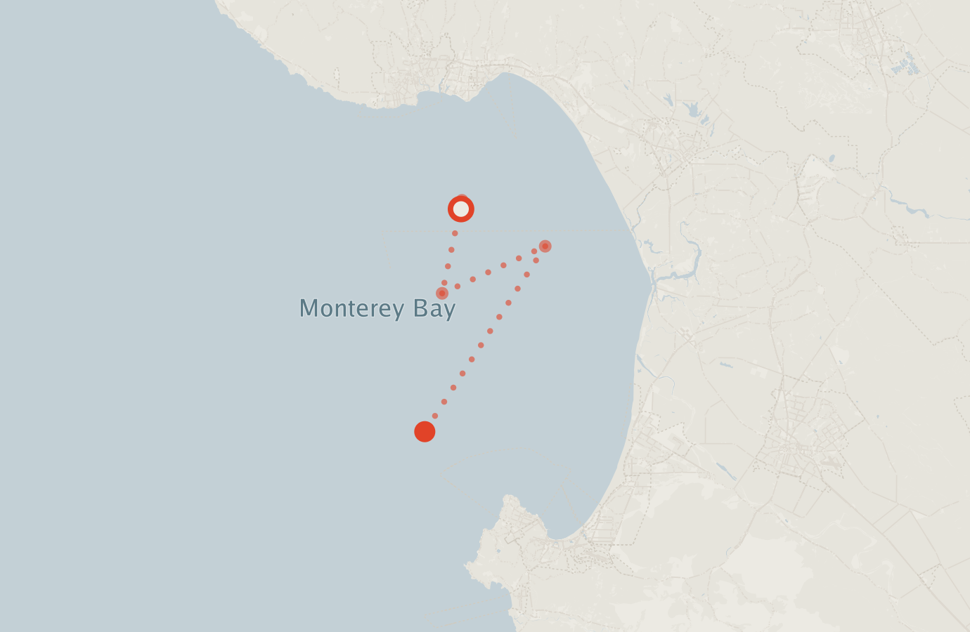 Activity map — real sighting points on an OpenStreetMap basemap