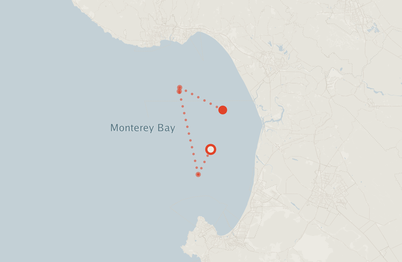 Activity map — real sighting points on an OpenStreetMap basemap