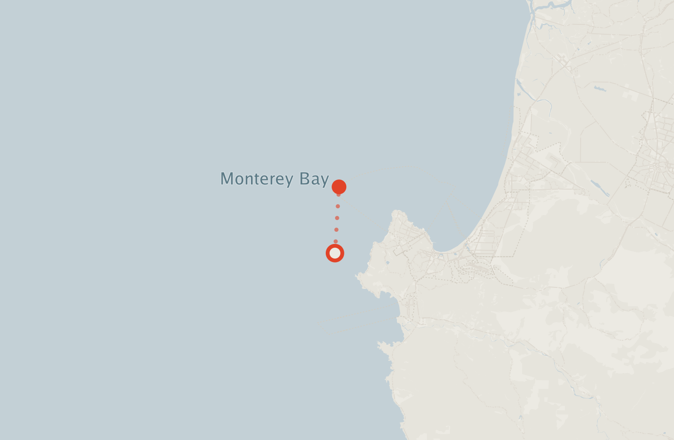 Activity map — real sighting points on an OpenStreetMap basemap