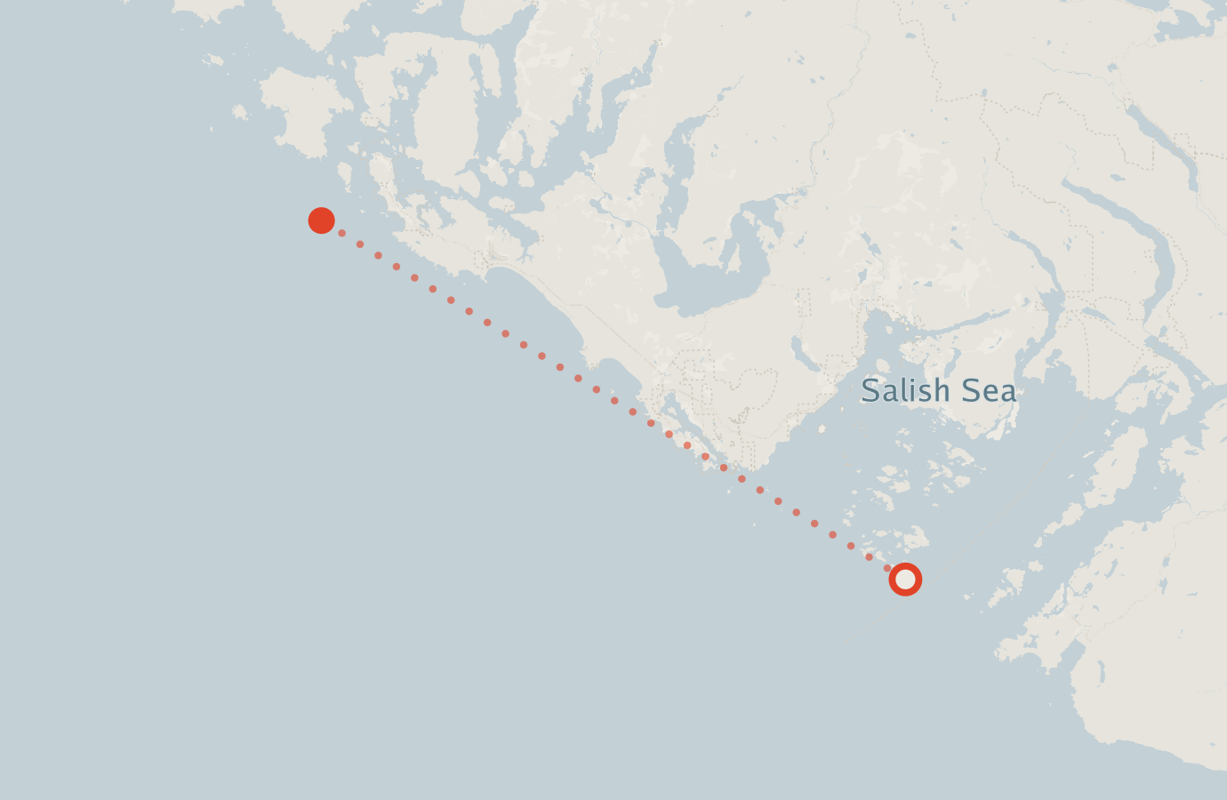 Activity map — real sighting points on an OpenStreetMap basemap