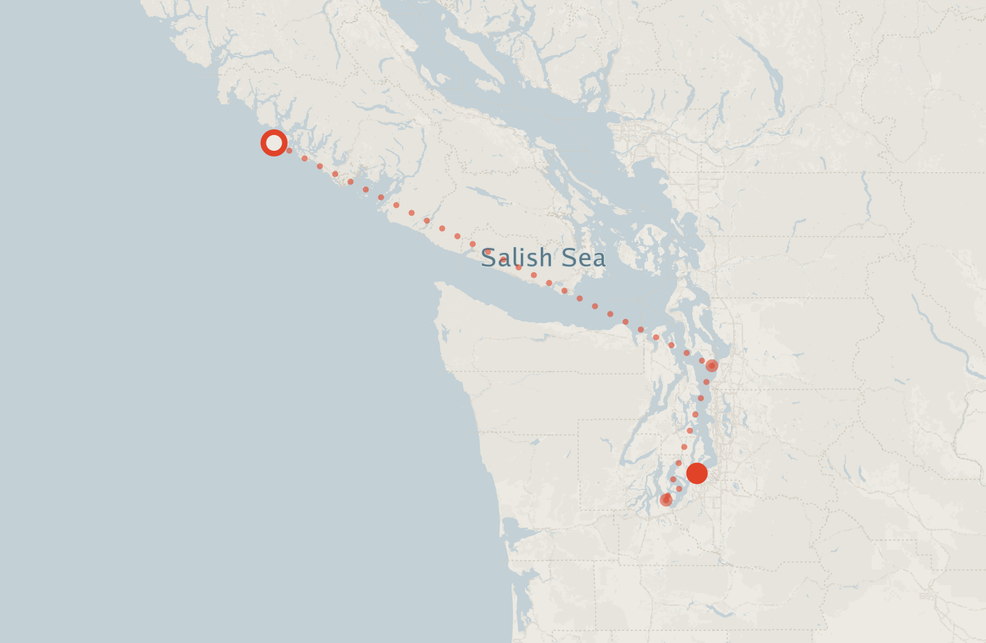 Activity map — real sighting points on an OpenStreetMap basemap