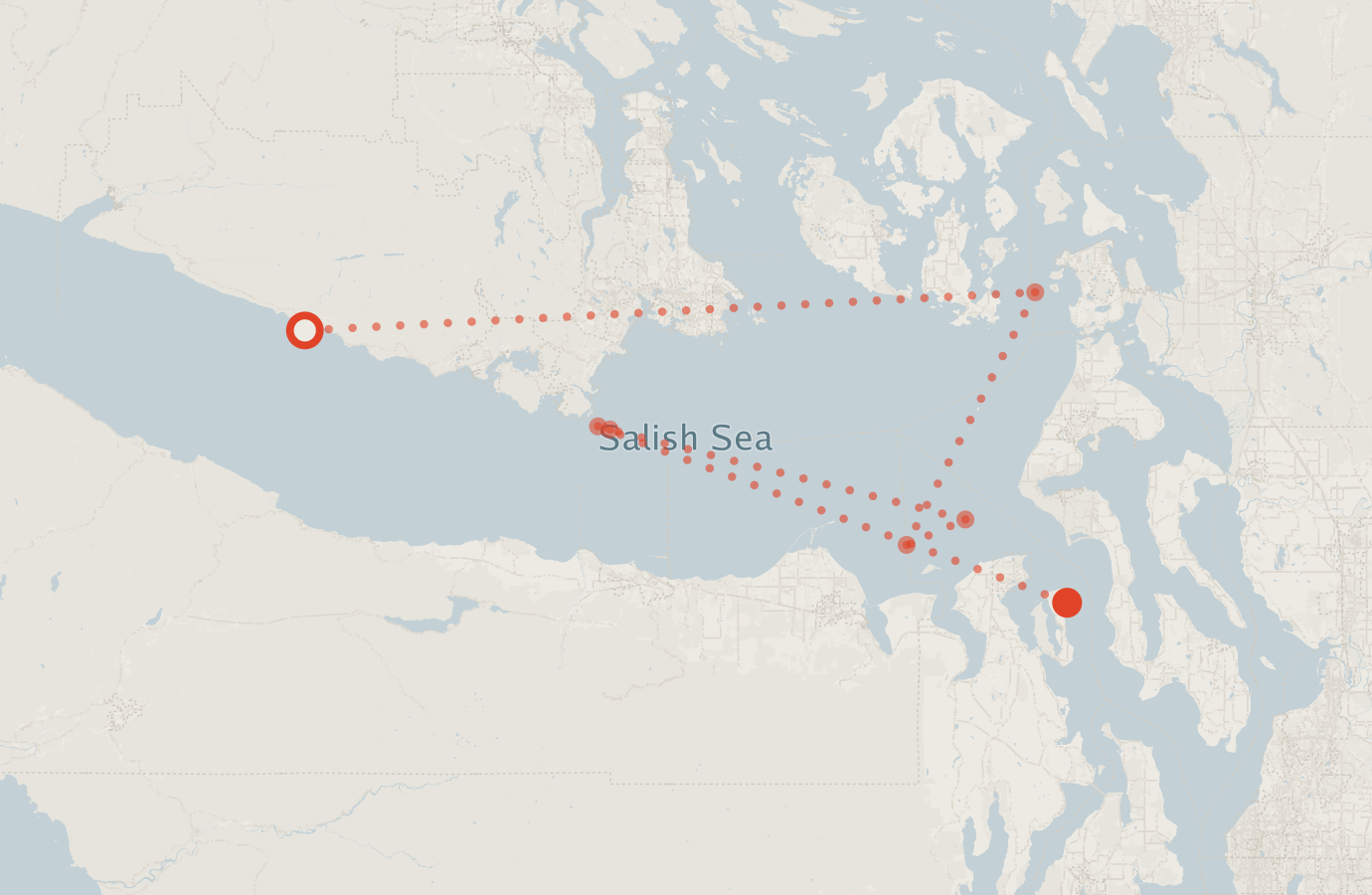 Activity map — real sighting points on an OpenStreetMap basemap