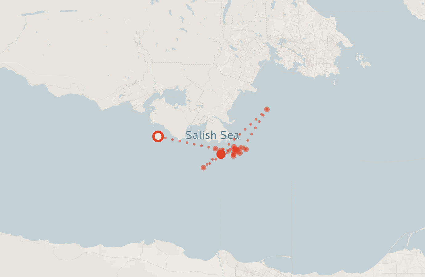 Activity map — real sighting points on an OpenStreetMap basemap