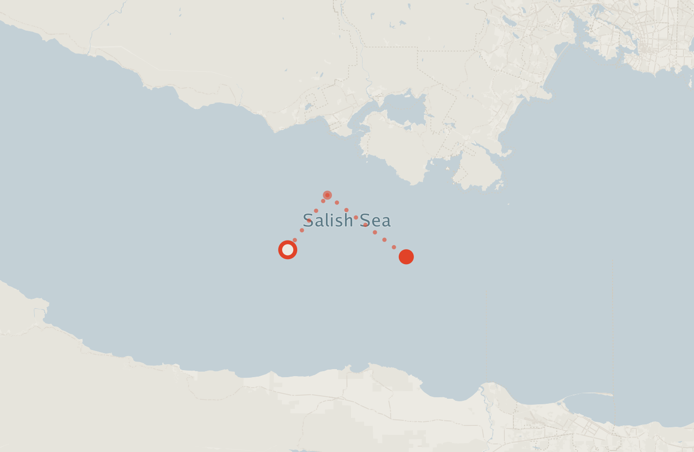 Activity map — real sighting points on an OpenStreetMap basemap