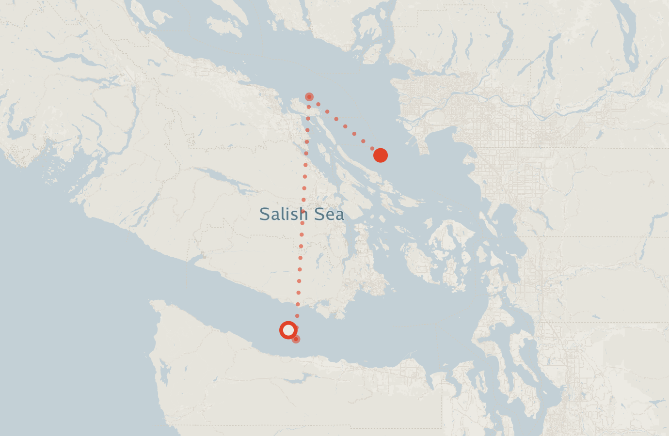 Activity map — real sighting points on an OpenStreetMap basemap