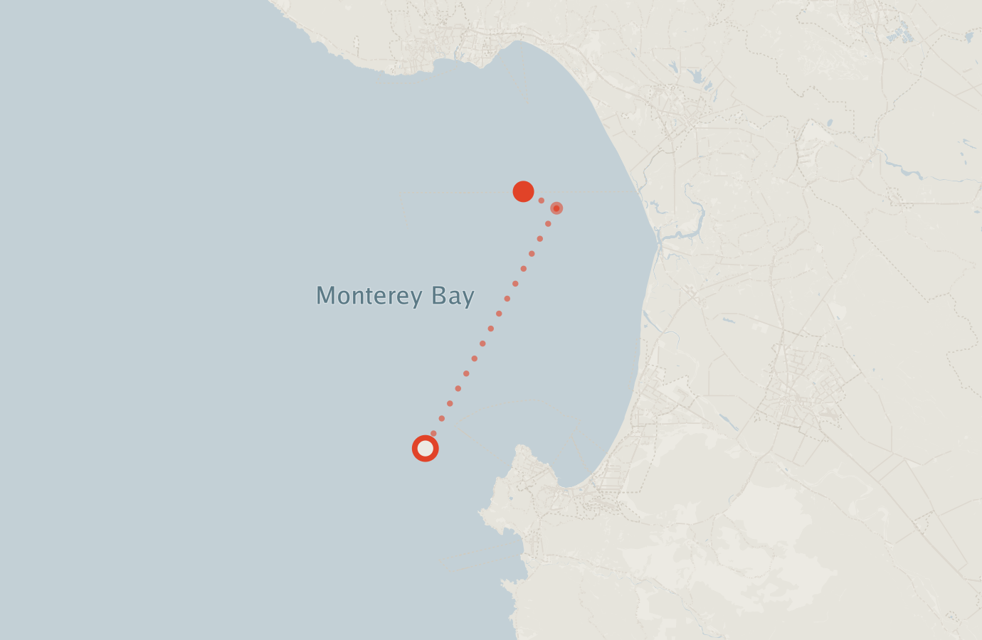 Activity map — real sighting points on an OpenStreetMap basemap