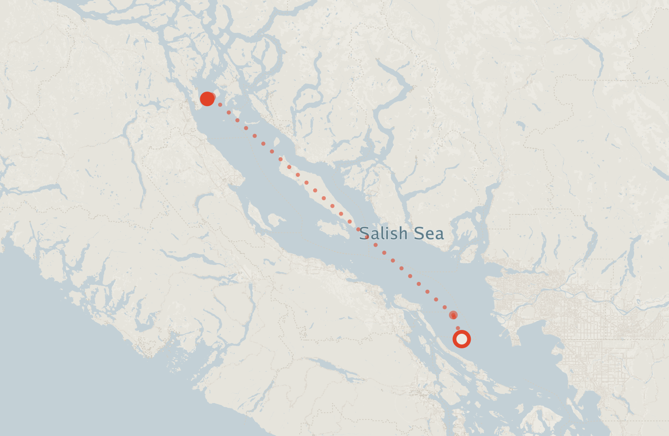 Activity map — real sighting points on an OpenStreetMap basemap