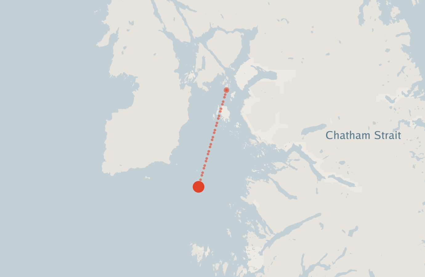 Activity map — real sighting points on an OpenStreetMap basemap