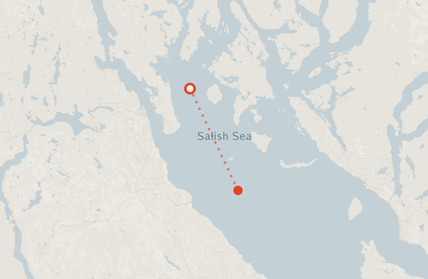 Activity map — real sighting points on an OpenStreetMap basemap