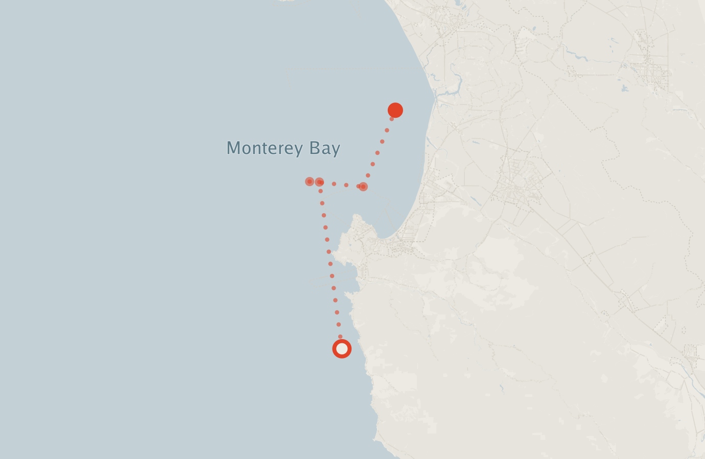 Activity map — real sighting points on an OpenStreetMap basemap