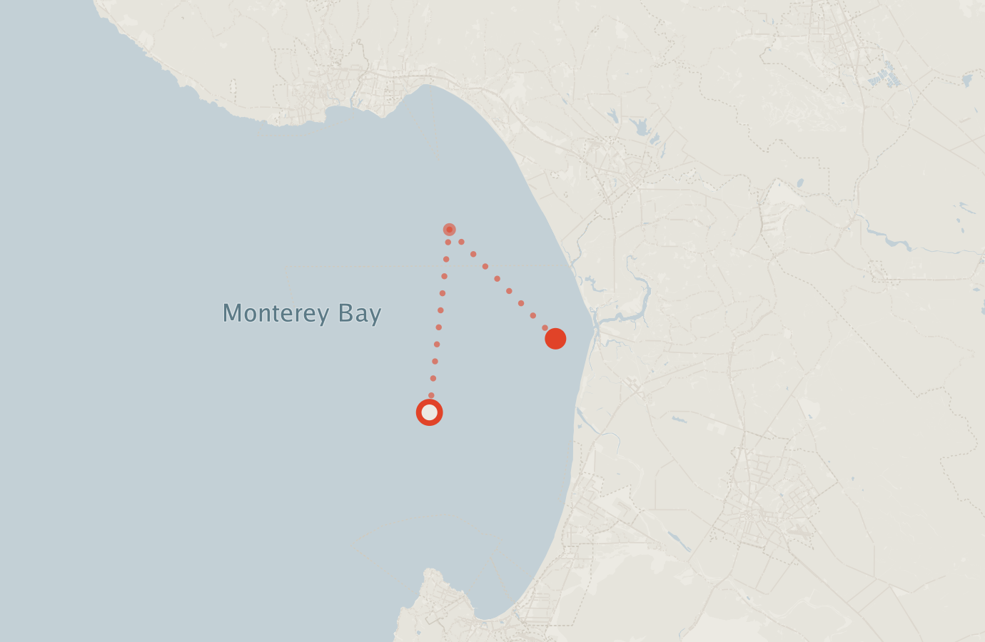 Activity map — real sighting points on an OpenStreetMap basemap