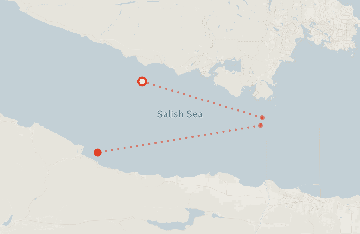 Activity map — real sighting points on an OpenStreetMap basemap