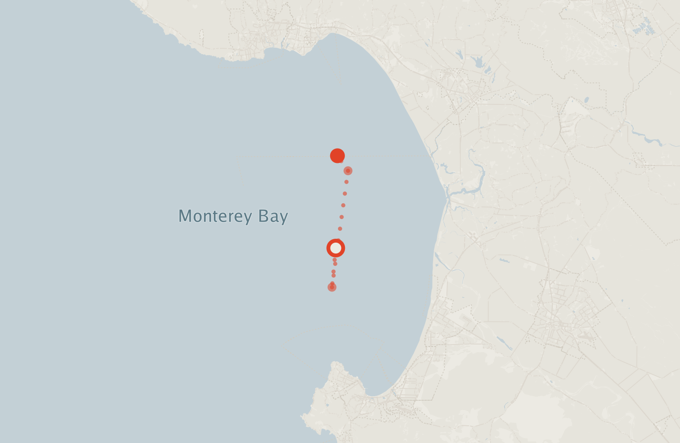 Activity map — real sighting points on an OpenStreetMap basemap