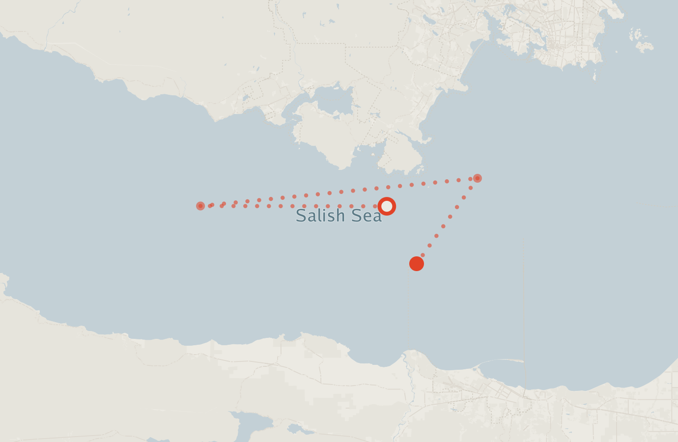 Activity map — real sighting points on an OpenStreetMap basemap