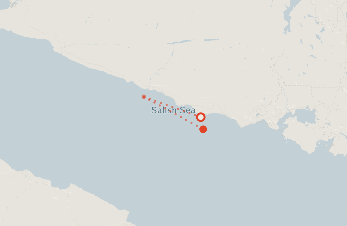 Activity map — real sighting points on an OpenStreetMap basemap