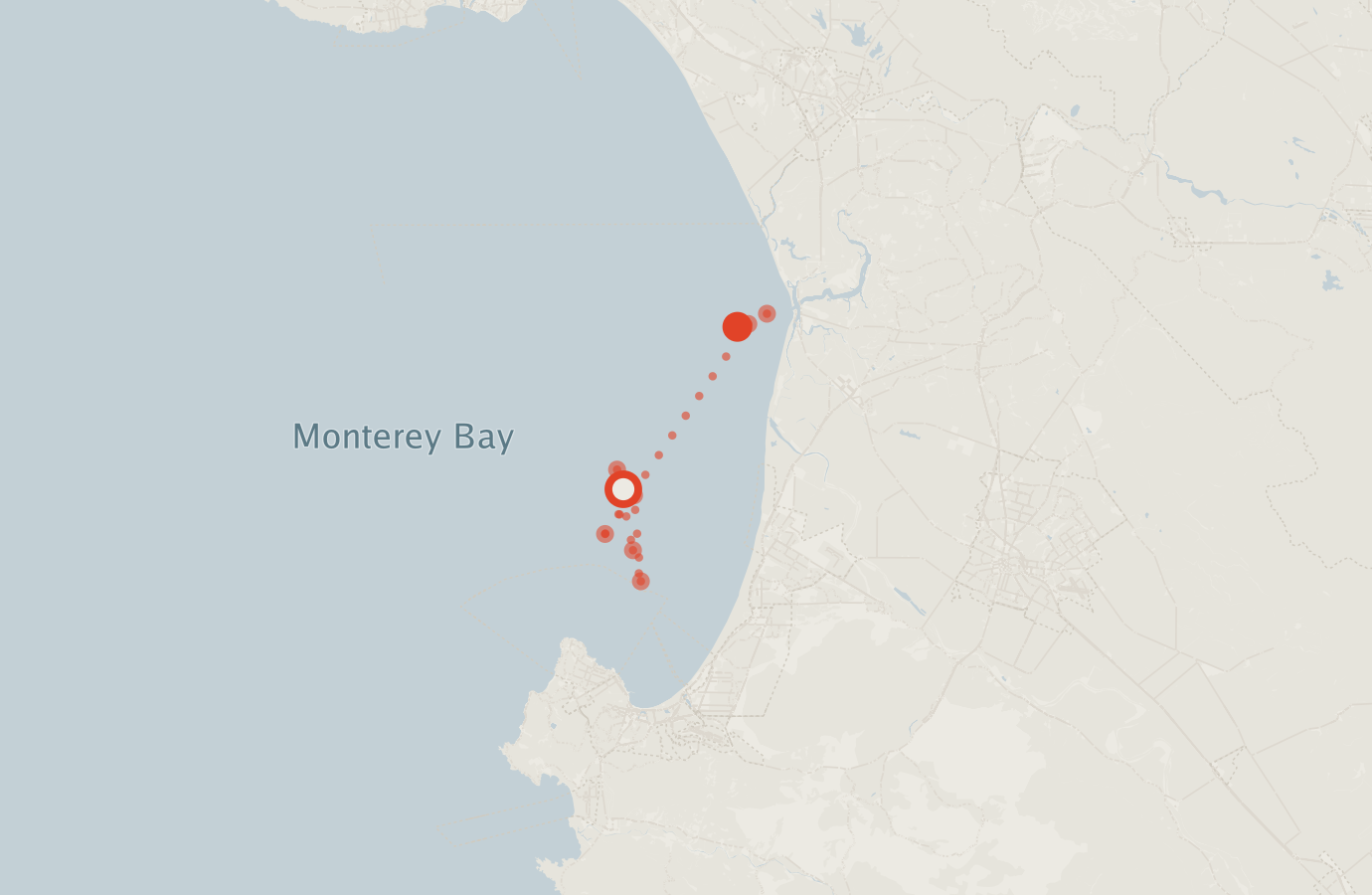 Activity map — real sighting points on an OpenStreetMap basemap