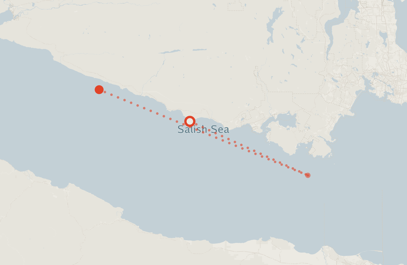 Activity map — real sighting points on an OpenStreetMap basemap