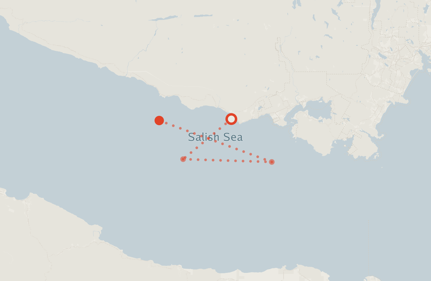 Activity map — real sighting points on an OpenStreetMap basemap