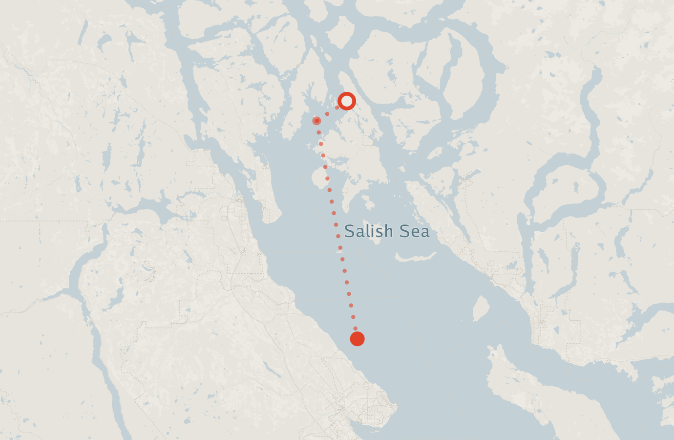 Activity map — real sighting points on an OpenStreetMap basemap
