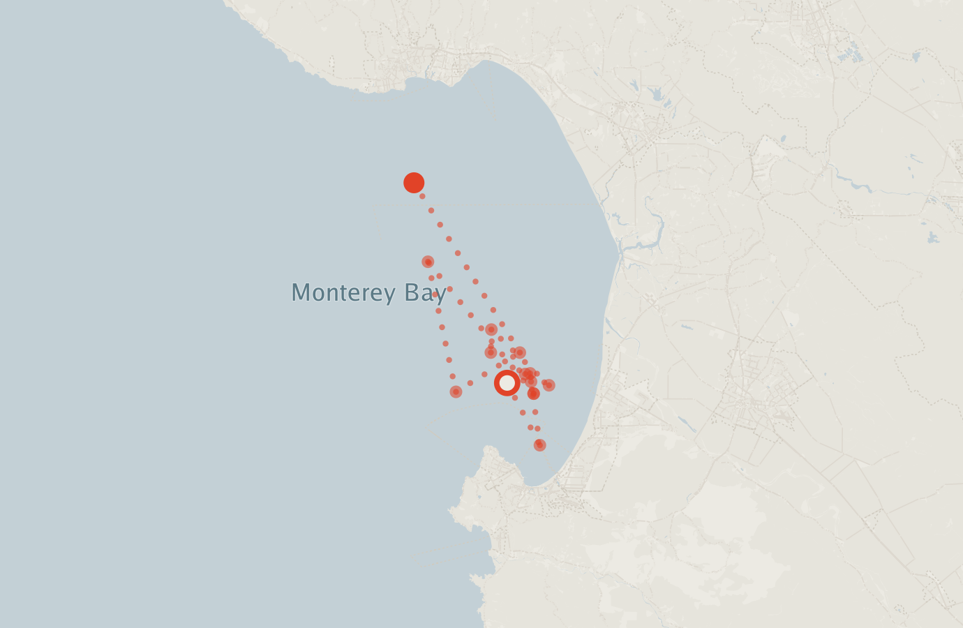 Activity map — real sighting points on an OpenStreetMap basemap