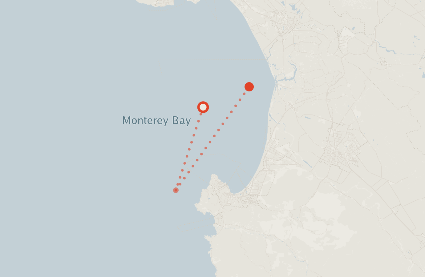 Activity map — real sighting points on an OpenStreetMap basemap