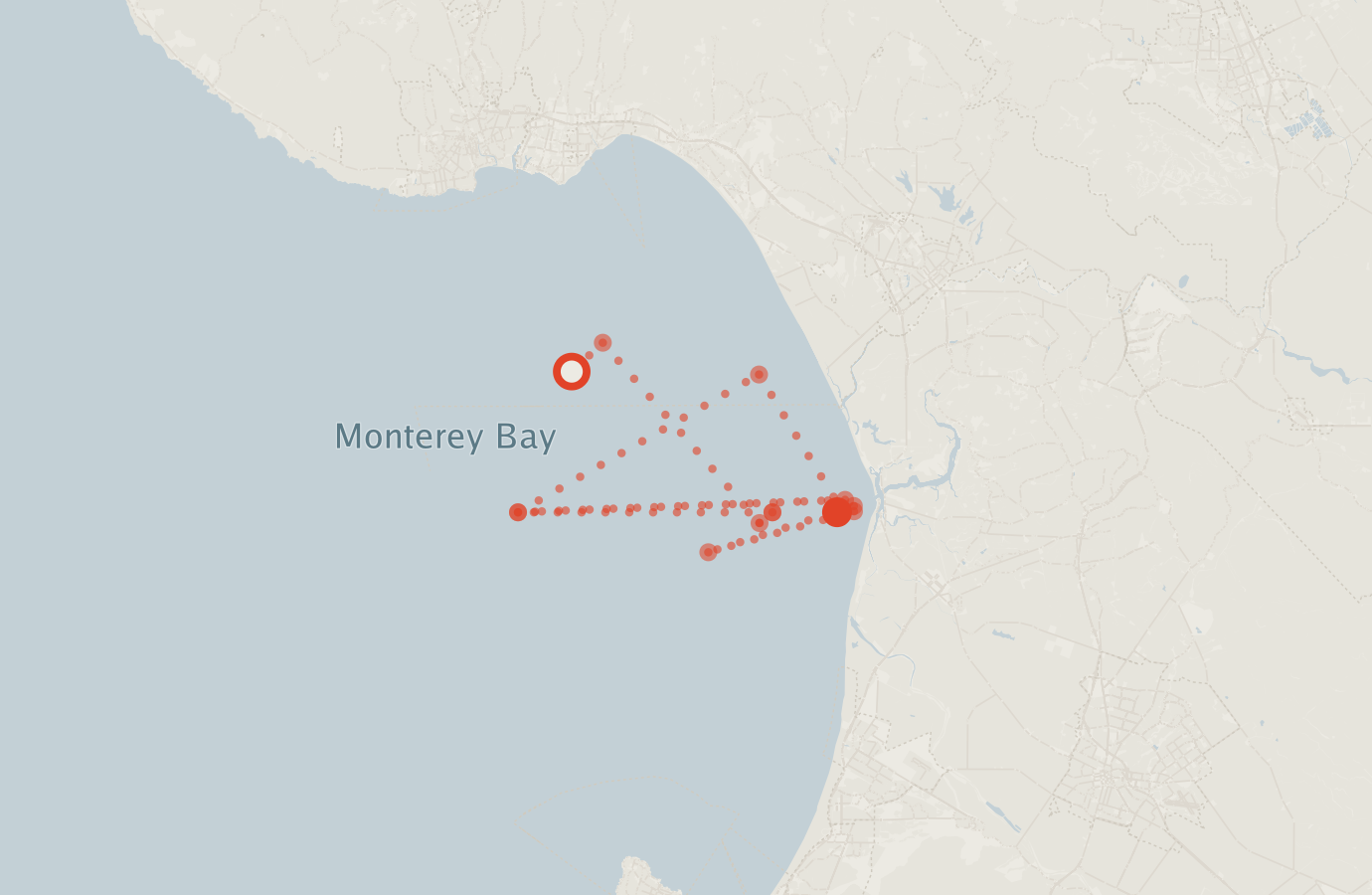 Activity map — real sighting points on an OpenStreetMap basemap