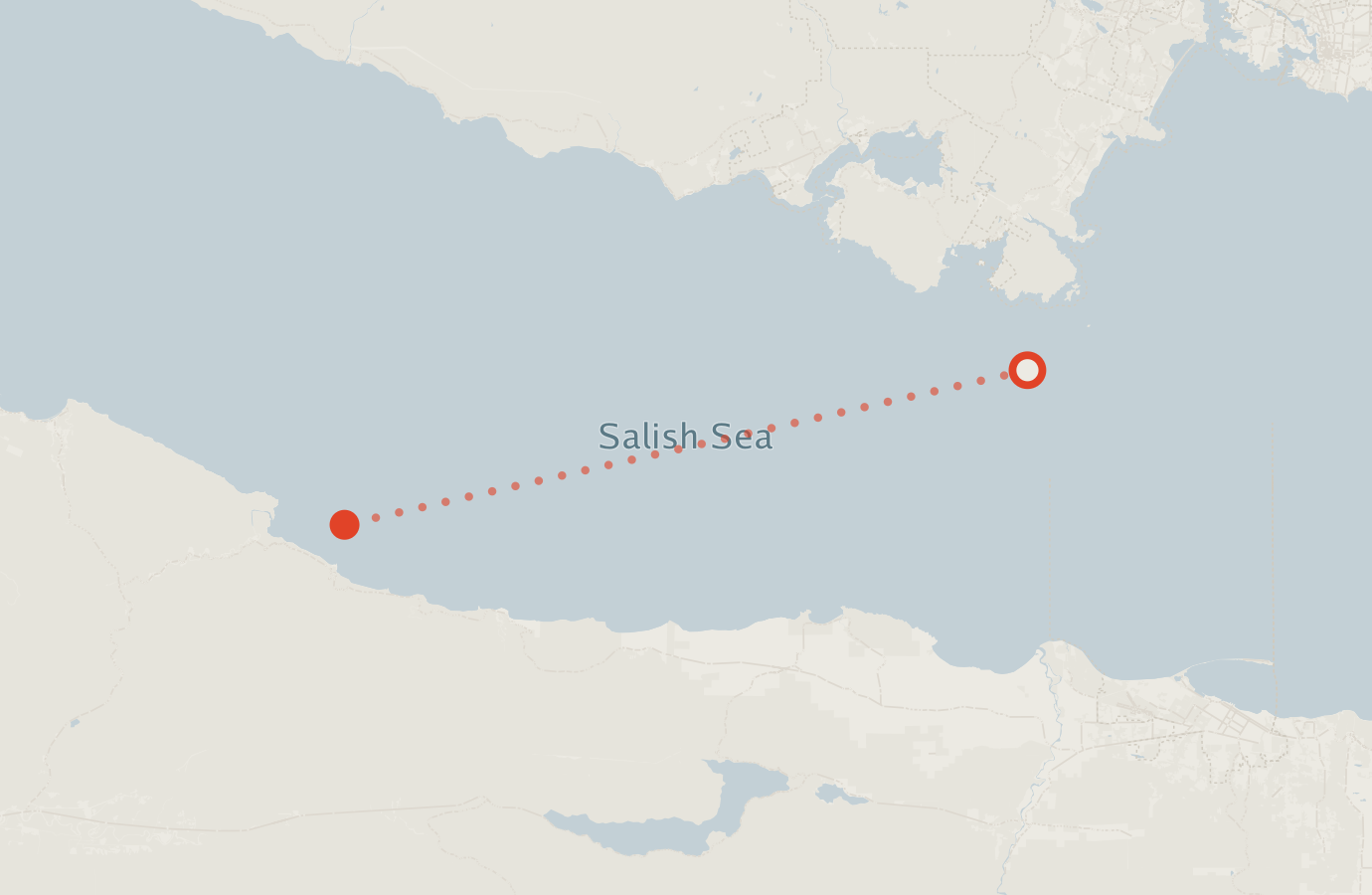 Activity map — real sighting points on an OpenStreetMap basemap
