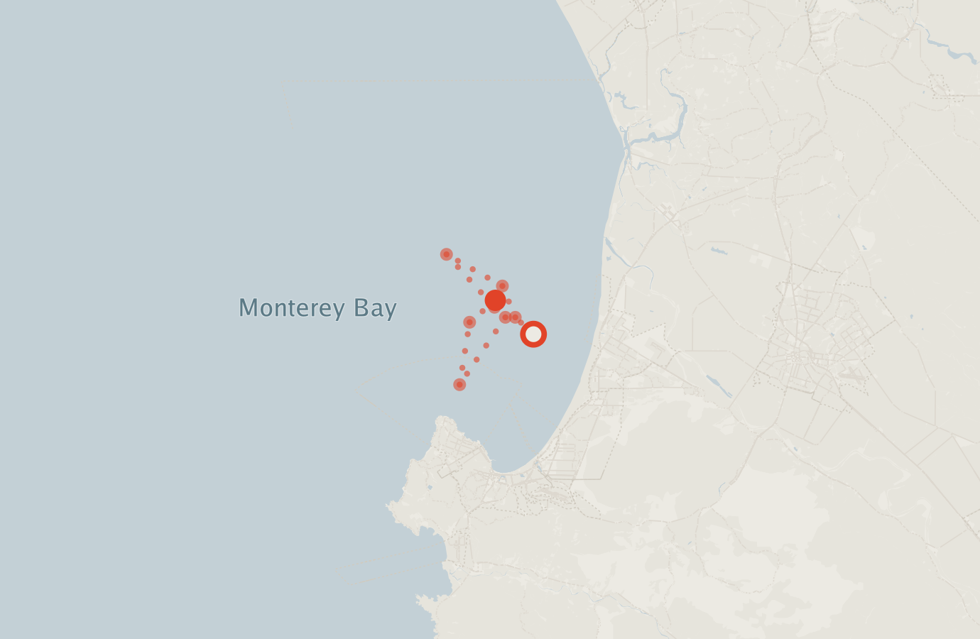 Activity map — real sighting points on an OpenStreetMap basemap