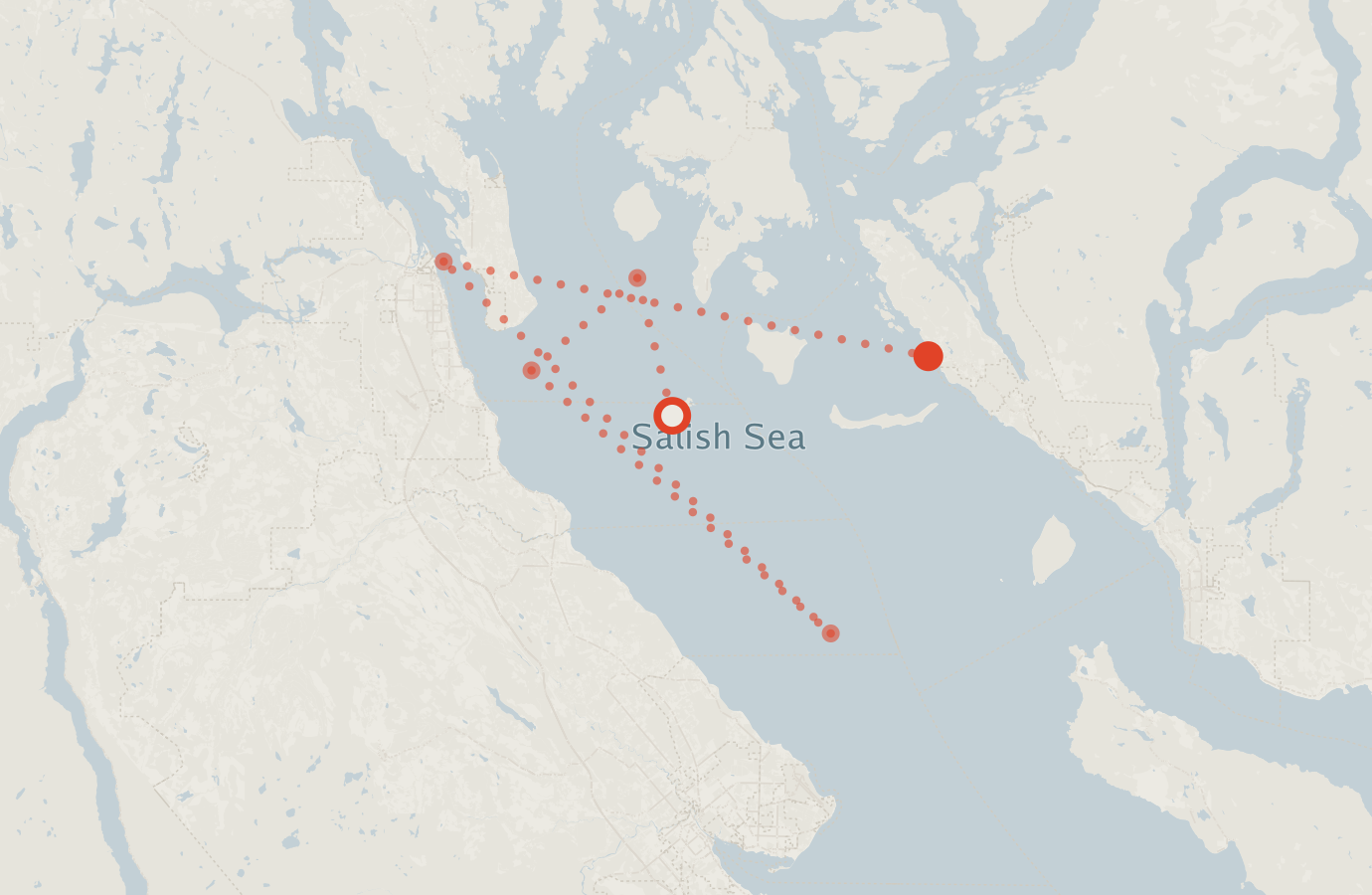 Activity map — real sighting points on an OpenStreetMap basemap