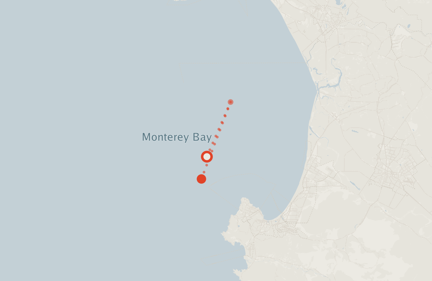 Activity map — real sighting points on an OpenStreetMap basemap
