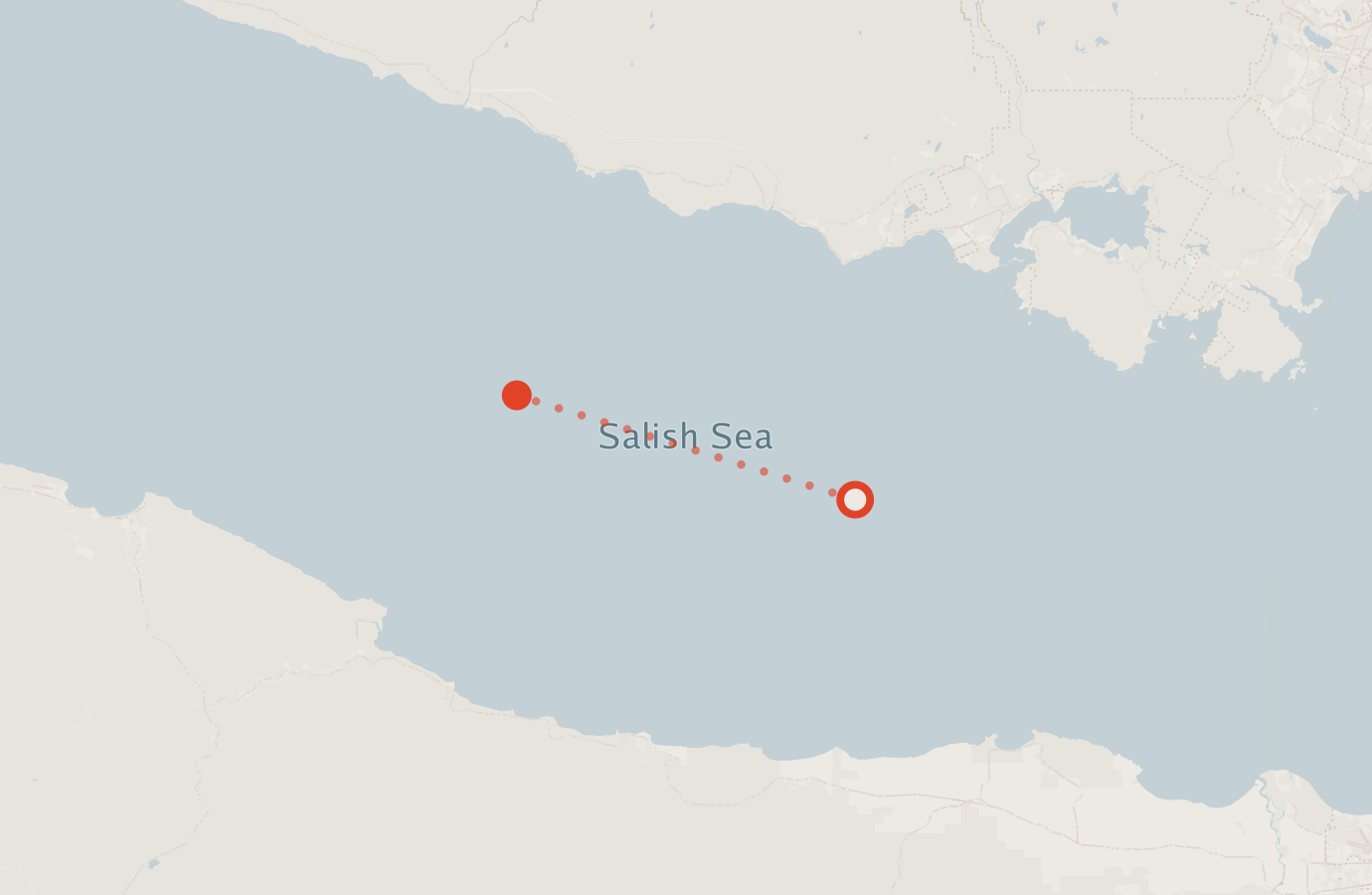 Activity map — real sighting points on an OpenStreetMap basemap