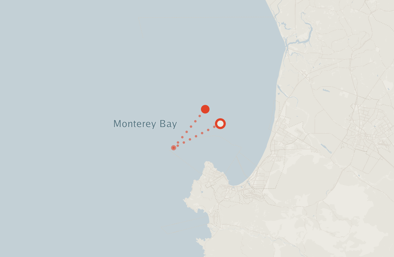 Activity map — real sighting points on an OpenStreetMap basemap