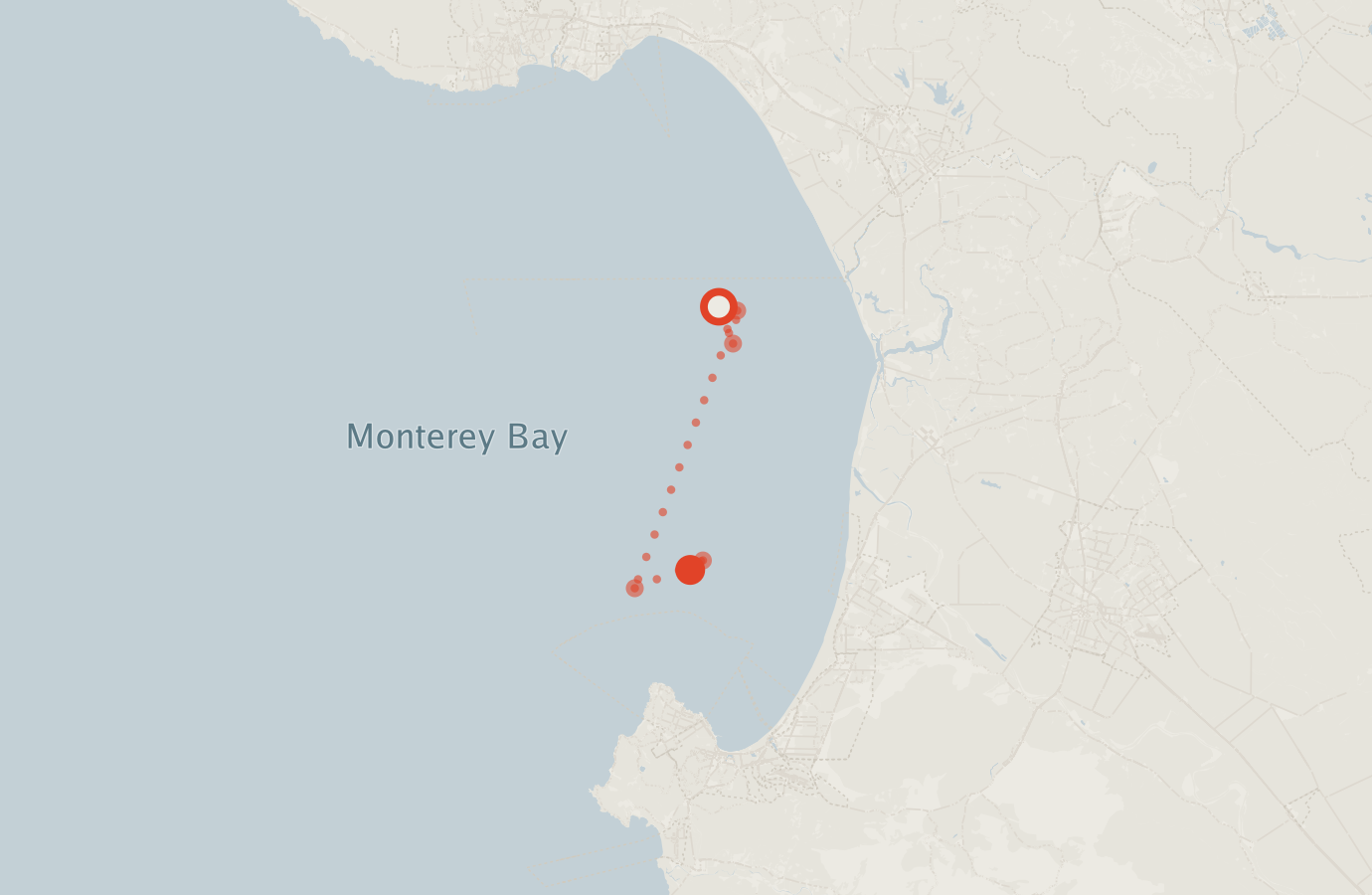 Activity map — real sighting points on an OpenStreetMap basemap