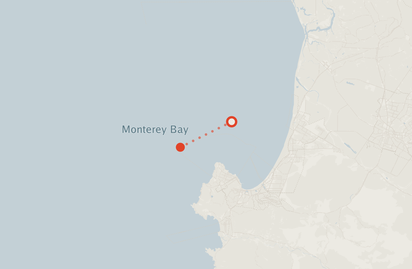 Activity map — real sighting points on an OpenStreetMap basemap