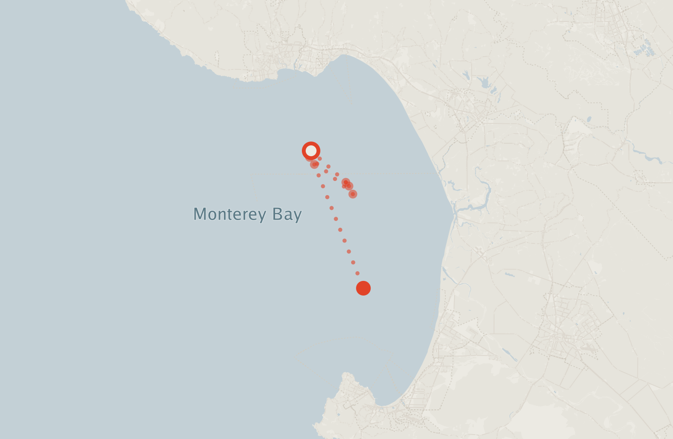 Activity map — real sighting points on an OpenStreetMap basemap