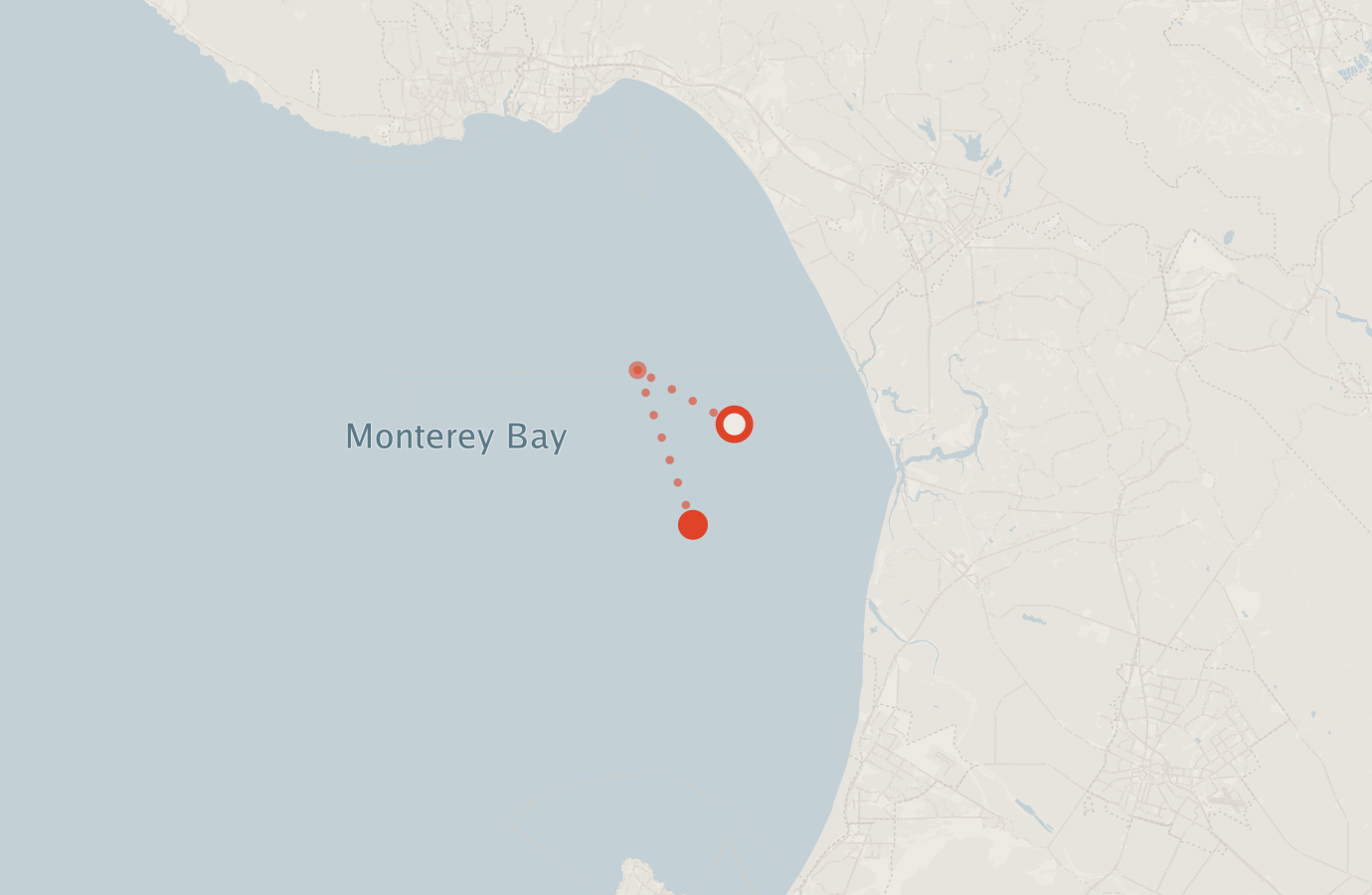 Activity map — real sighting points on an OpenStreetMap basemap